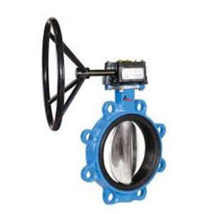 Best Lug Type Butterfly Valve Manufacturer in Ahmedabad