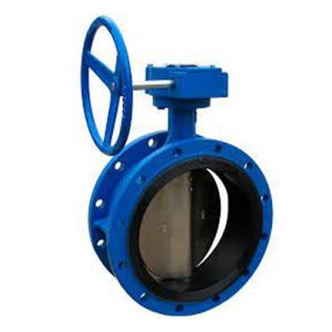 Top Double Flange Butterfly Valve Manufacturer in Ahmedabad