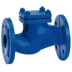 Lift Type Non Return Valve Manufacturer in Ahmedabad
