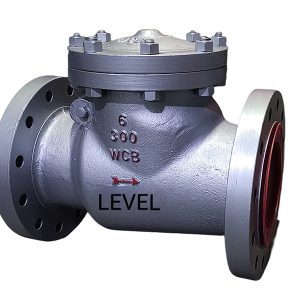 Trusted Manufacturer of Swing Check Valve in Ahmedabad