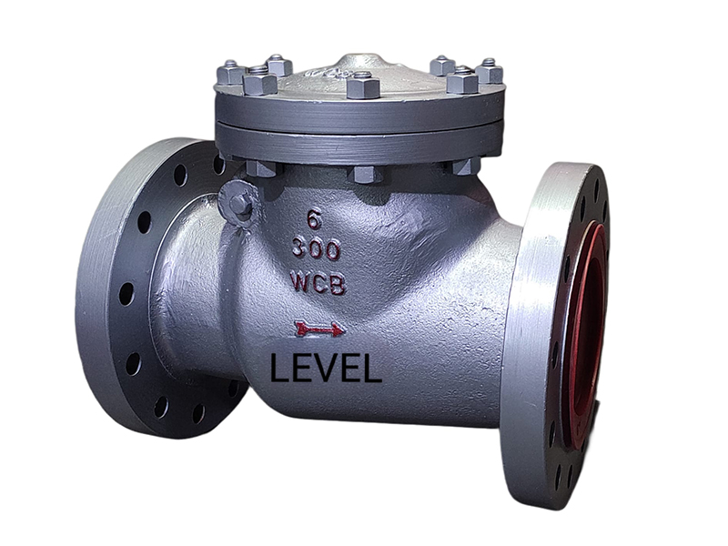 Swing Check Valve in ahmedabad