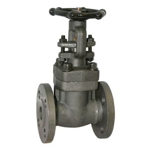 Forge Steel Gate Valve 150# & 300#