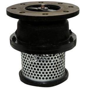 Metallic Foot Valve Flanged End