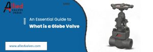 An Essential Guide to What is a Globe Valve