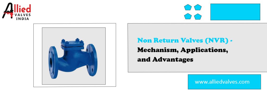 Non Return Valves