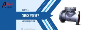 What is a Check Valve? A Beginners Guide